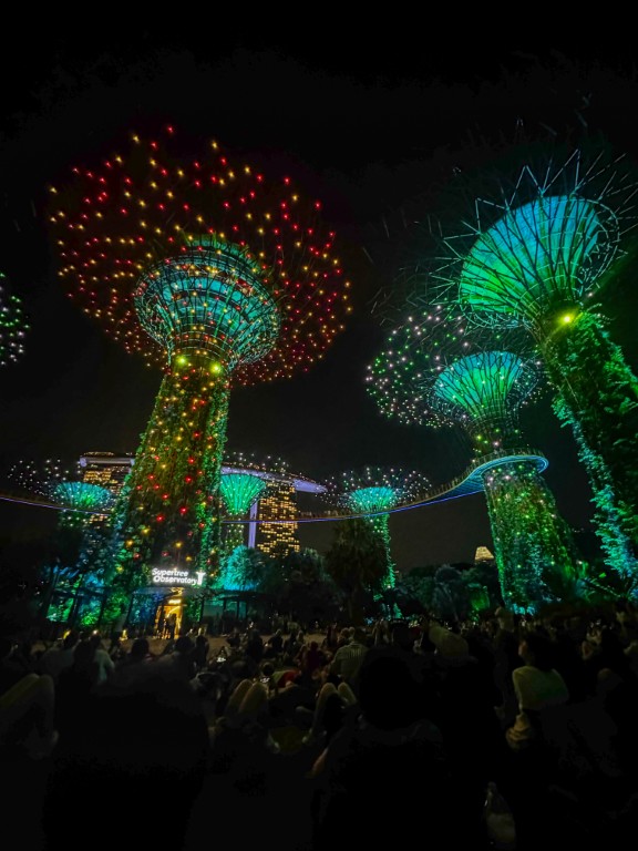 Gardens by the Bay, Supertree Grove lights up at night